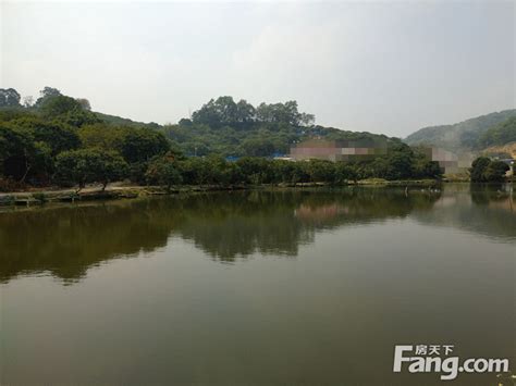 广东广州白云区36亩鱼塘果园休闲农庄 整体转让-广州市土地转让-3fang土地网