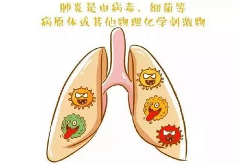 上海13价与23价肺炎疫苗的区别一览- 上海本地宝