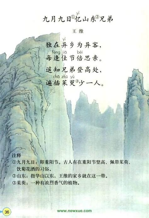 唐诗三百首经典七绝：很多人都曾经历，但只有17岁的王维写出来了