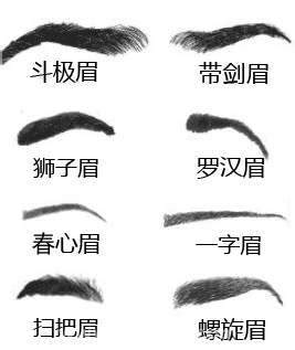 面相眉毛图解大全图片