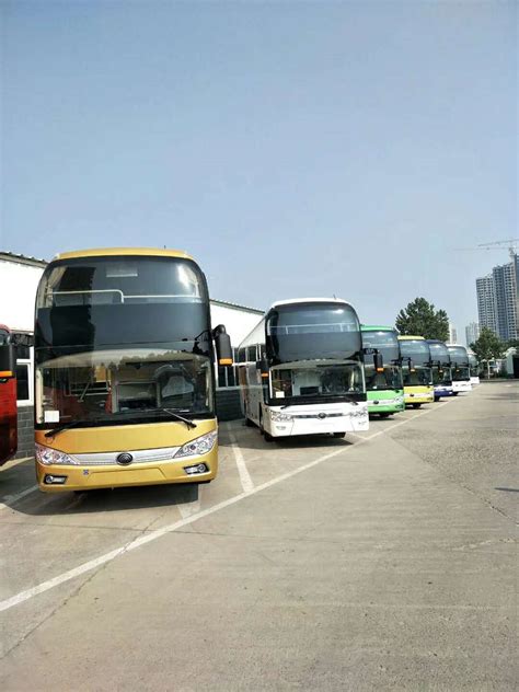 下了飞机坐大巴直达景区！青岛首条定线旅游客运线路启动|青岛市_新浪新闻