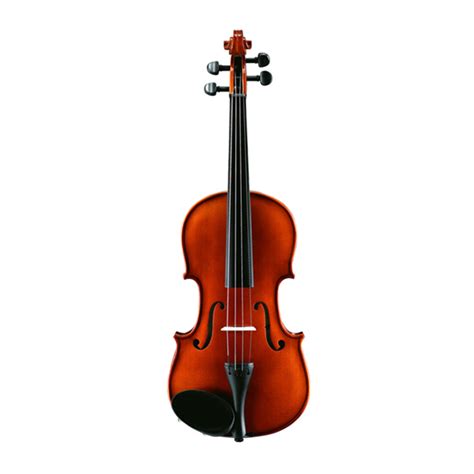 小提琴的价格（世界上最贵的小提琴多少钱？） - 科猫网