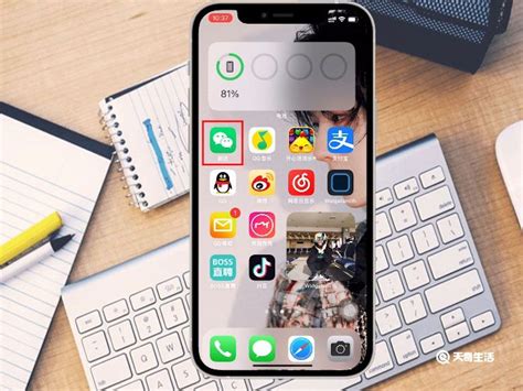 iPhone 11开启微信面容支付的方法 - 武林网