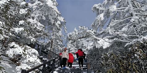 这个“五·一”，去轿子雪山感受“最美的花路” - 文化旅游 - 云桥网