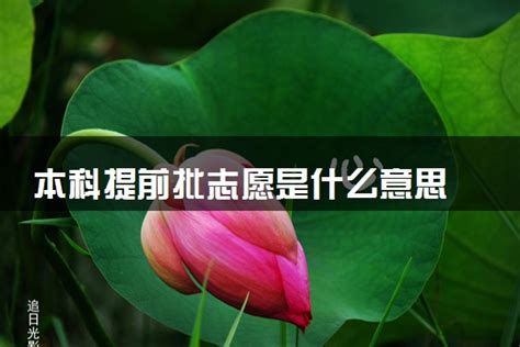 湖北省2022年本科提前批单设志愿录取院校投档线 —中国教育在线