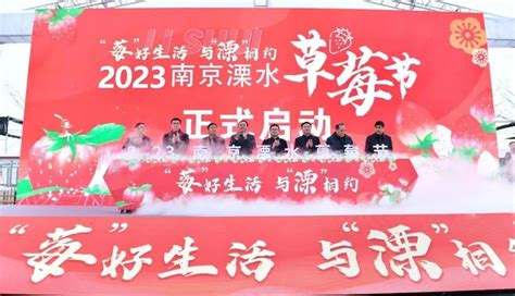 溧水区人民政府 镇街动态 “莓”好生活 与“溧”相约 2023年南京溧水草莓节正式启动