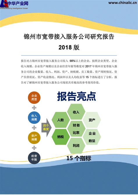 锦州市宽带接入服务公司研究报告2018版_word文档在线阅读与下载_文档网
