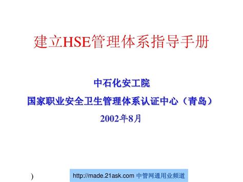 HSE管理体系指导手册_word文档在线阅读与下载_免费文档