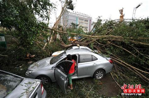 强台风"莫兰蒂"重创宁德 直接经济损失已逾3.7亿元 - 莫兰蒂影响 - 东南网