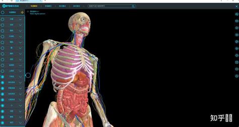 人体解剖学图谱有没有电脑版软件？ - 知乎