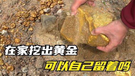 老外野外寻宝，意外发现黄金矿石，40斤金矿值多少钱？_腾讯视频