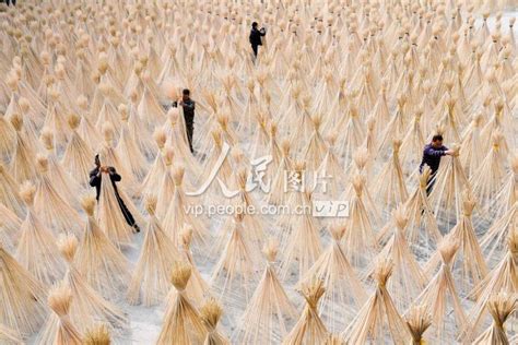 新余分宜县：全力生产（图）凤凰网江西_凤凰网