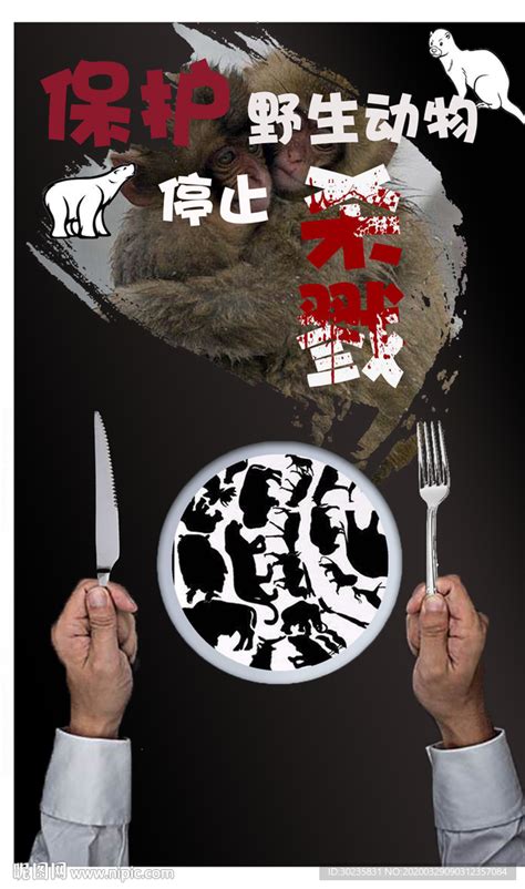 禁食野生动物 保护野生动物设计图__海报设计_广告设计_设计图库_昵图网nipic.com