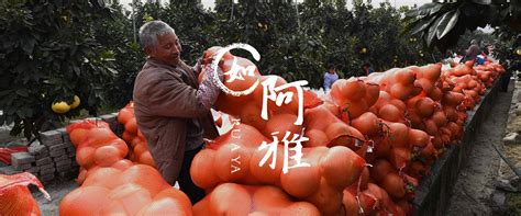 贵州松桃：小满将至农事忙-人民图片网