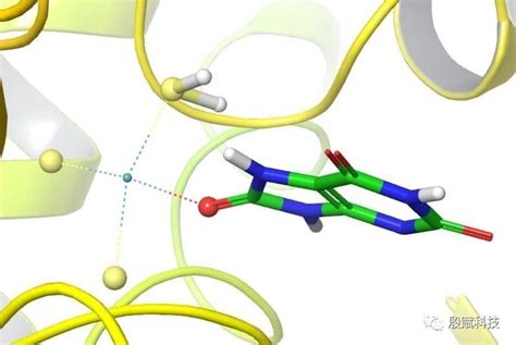 3d-过渡金属离子掺杂纳米二氧化铈-氧化锆可能微调甲烷对 C2 含氧化合物的活化,Inorganic Chemistry - X-MOL