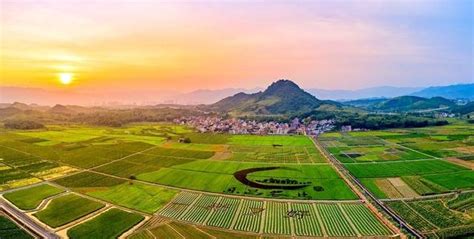 皖河农场公司：近6万亩水稻喜获丰收