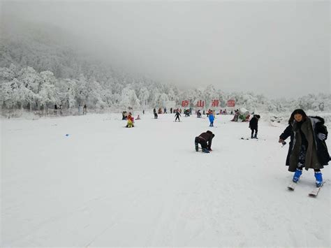 曾家山滑雪场门票多少钱及开放时间_旅泊网