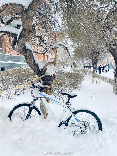 暴雪来了，新疆局部1米！权威预报：特大暴雪趋势出现重点是东北_中国气象爱好者_新浪博客