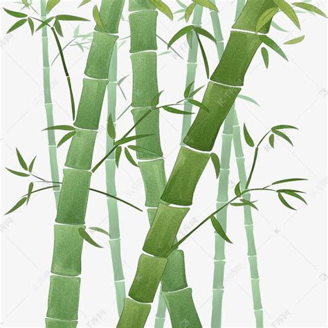 馨竹图片