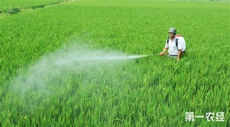 信息化助力化肥农药减量增效行动 保障农业生产安全 - 农业要闻 - 第一农经网