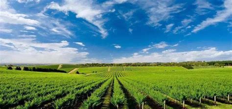农业农村部等6部门联合印发 《“十四五”全国农业绿色发展规划》