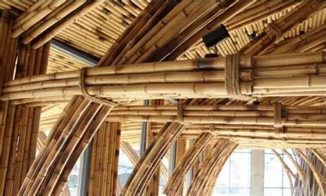 10个建筑作品解读武重义，把竹子用到极致的越南建筑大师 | 建筑学院
