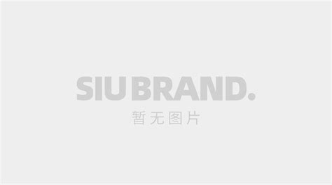 苏州集团公司网站建设_新有互动品牌