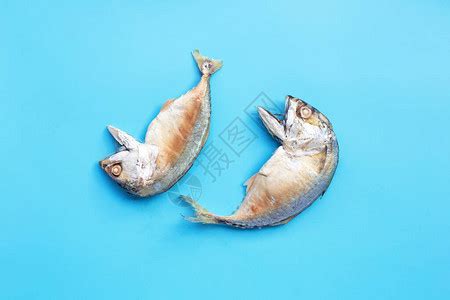 青鱼 青鱼是一种颜色青的鱼，主要分布于我国长江以南的平原地区，长江以北较稀少；它是长江中、下游和沿江湖泊里的重要渔业资源和各湖泊、池塘中的主要 ...