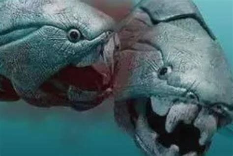 海底大猎杀：大白鲨吞噬远古邓氏鱼被旁边的沧龙秒杀_腾讯视频