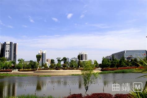 马龙区沈家山森林公园在列！云南新增5个省级生态文明教育基地 _www.isenlin.cn