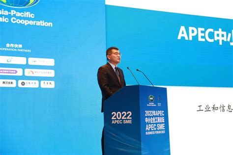 2022年亚太经合组织（APEC）中小企业工商论坛在深圳宝安开幕_深圳新闻网