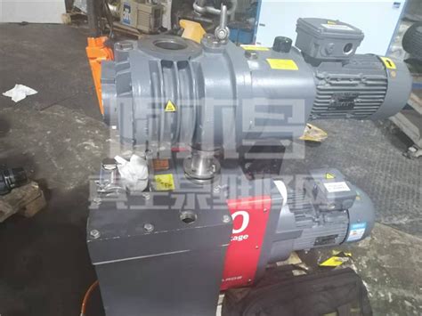 ALCATEL V6SD7A22PZ干式真空泵维修保养acp28阿尔卡特真空泵维修-公司新闻-啄木鸟真空泵维修网