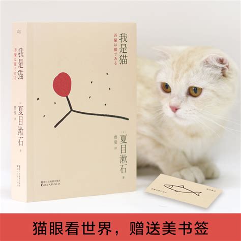 我是猫这本书,我是猫,我是猫读后感(第4页)_大山谷图库