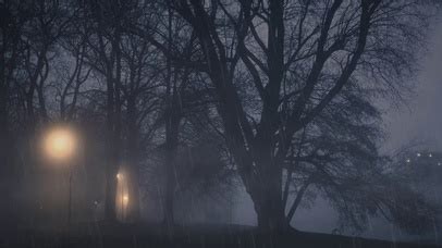 雨下了一整夜图片