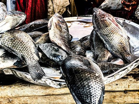 周公解梦梦见超度死人-周公解梦梦见自己冲药不知道给谁