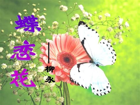 这三首最出名的《蝶恋花》，你最中意的是哪一首|蝶恋花|柳永|苏轼_新浪新闻
