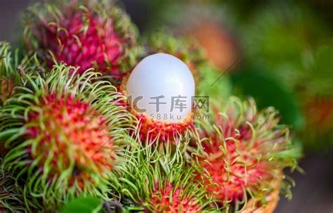 新鲜成熟的红毛丹甜热带水果去皮红毛丹叶，篮子上的红毛丹果和花园里的木质背景收获高清摄影大图-千库网