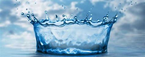 水对人体的重要性简介 水对人体的重要性如下_知秀网
