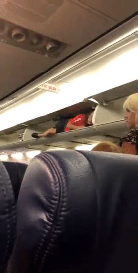 美国一空姐爬进机舱行李架还微笑 乘客看傻眼_新浪图片