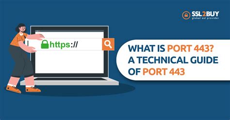 What is Port 443? A Technical Guide for HTTPS Port 443