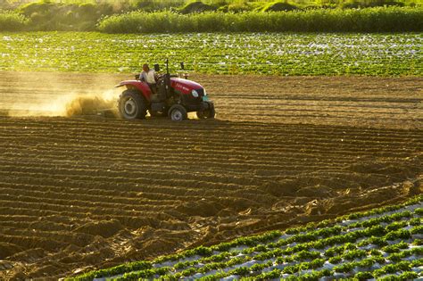 保护提升耕地质量，农业部力倡“亲土种植”|粮食|耕地|质量_新浪新闻