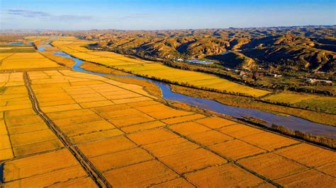 塞上好“丰”景！榆林横山区万亩水稻迎来收获季 - 陕工网