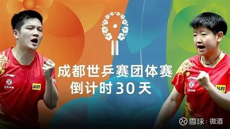 2019国际乒联男子世界杯八强对阵出炉马龙对战奥恰