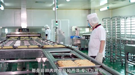 东莞彩田面包工厂_腾讯视频
