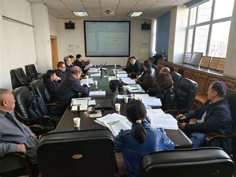 《新疆阿勒泰水电站工程调压方式设计优化报告》通过技术评审