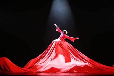 我校参赛舞蹈在2017年北京大学生舞蹈节取得优异成绩-团委