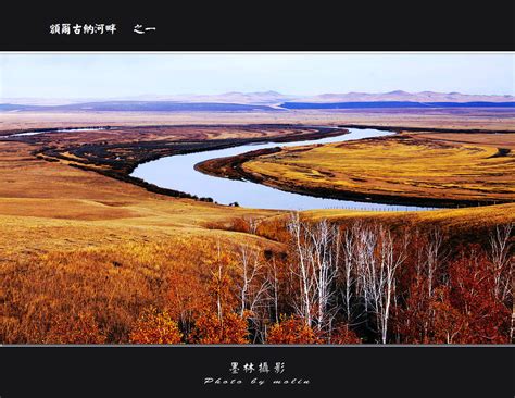 内蒙古额尔古纳国家湿地公园Logo设计方案征集获奖作品公示 - 设计在线