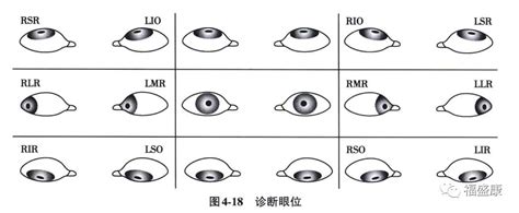 09年1月11日 的图像结果