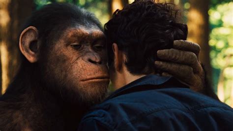 盘点：和大猩猩有关的15部电影，你看过几部？-搜狐大视野-搜狐新闻