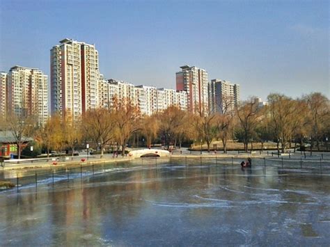 北京昌平某办公小院景观设计-北京景通园林古建工程有限公司